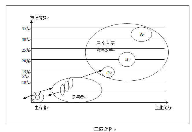 竞争力评估模型